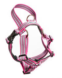 Metizo Dezignign harness with handle