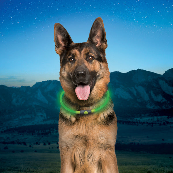 NiteHowl Rechargeable LED Necklace Green