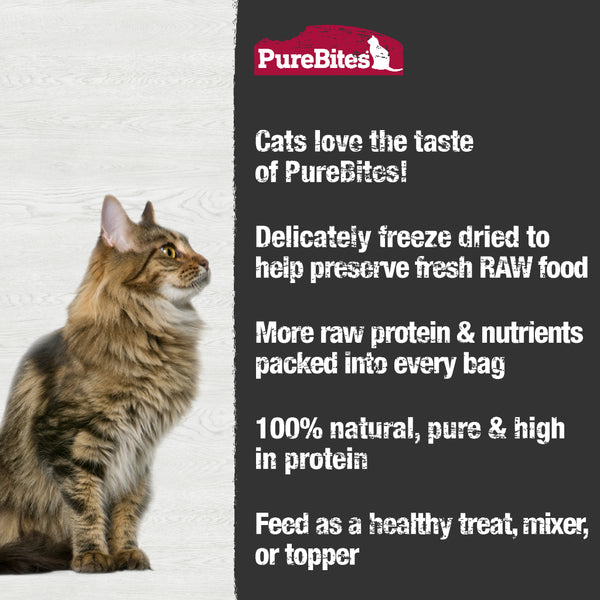 Purebite Freeze Dried Chicken Heart 31G