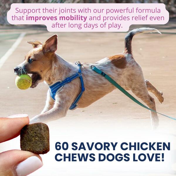 Under the Weather Soft Chew Hip & Joint 60CT