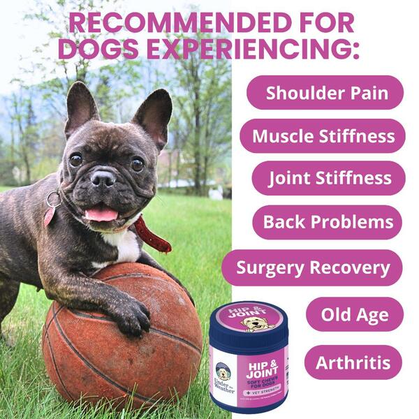 Under the Weather Soft Chew Hip & Joint 60CT