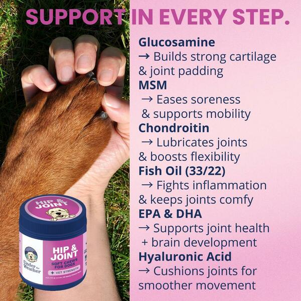 Under the Weather Soft Chew Hip & Joint 60CT