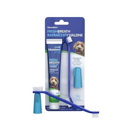 Bluestem Oral Care Kit Vanilla Mint Flavour