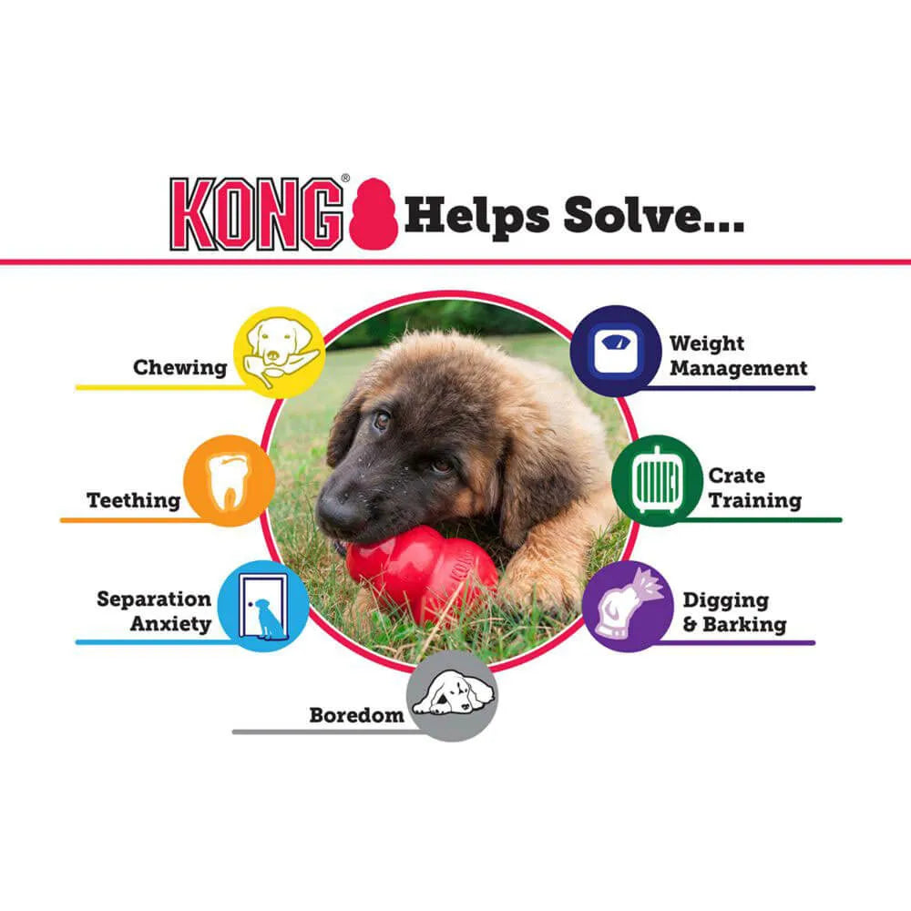 KONG KONG XSmall | Puppy