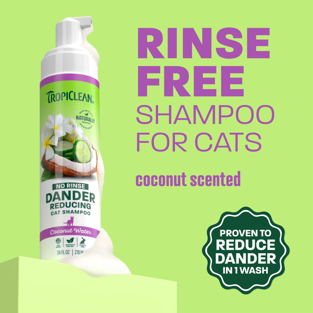 TropiClean Coconut & Cucumber Dander Reducing No Rinse Waterless Shampoo for Cats – lifestyle image
