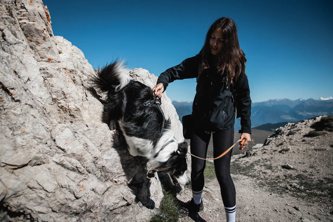 [Presale]Line harness grip