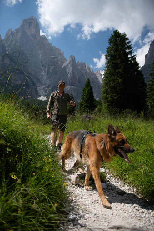 [Presale]Line harness grip