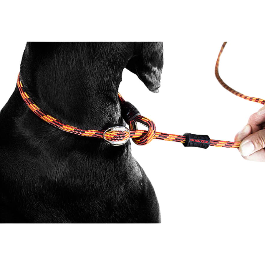 EZYDOG Luca Lead Black 6'