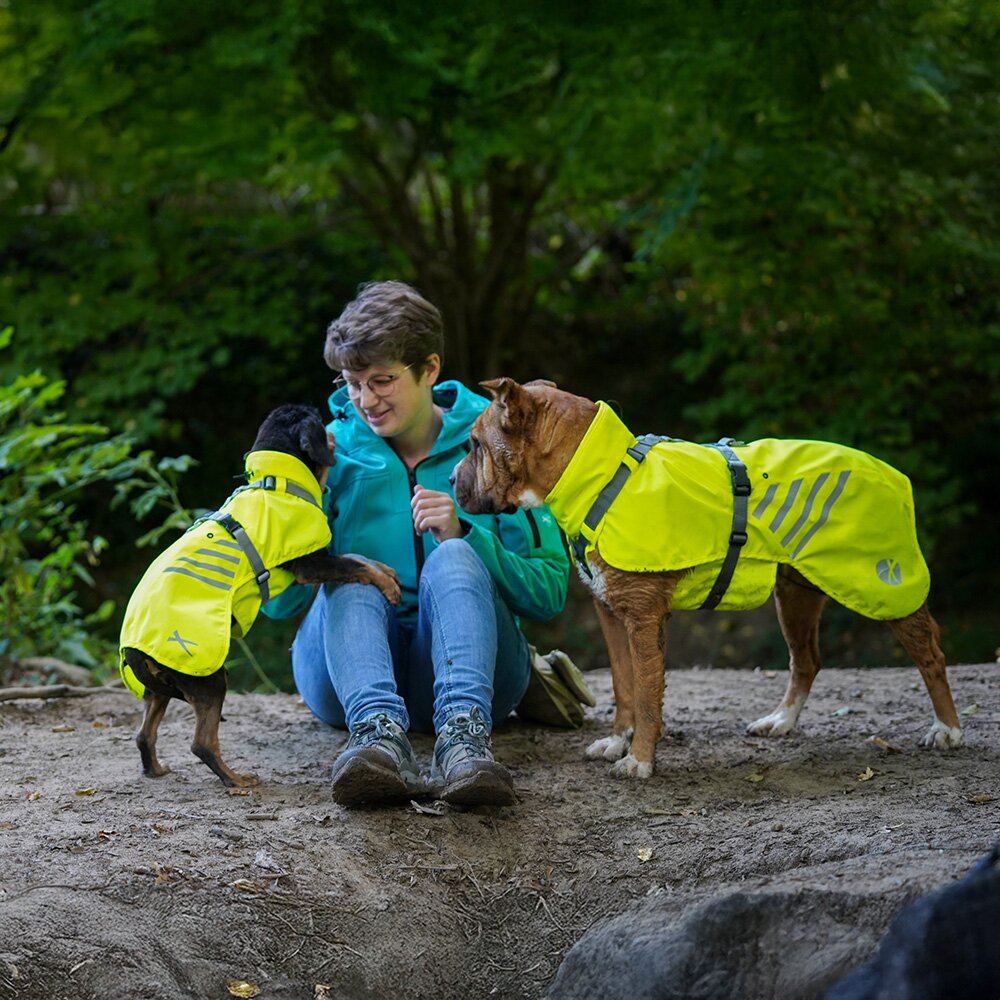 Annyx LIGHTNING Dog Raincoat with Integrated Harness – Luminous Yellow