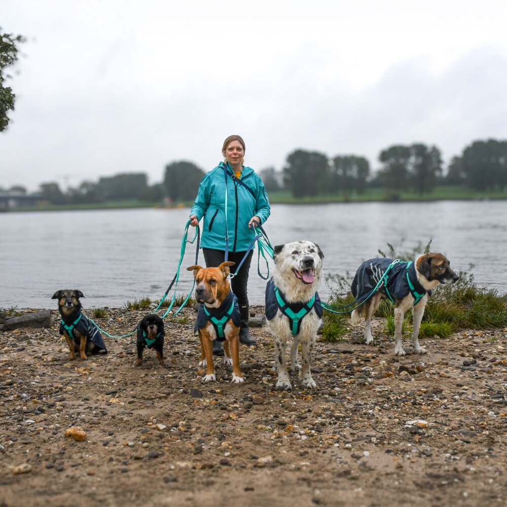 Annyx STORM Dog Raincoat with Integrated Harness – Ocean