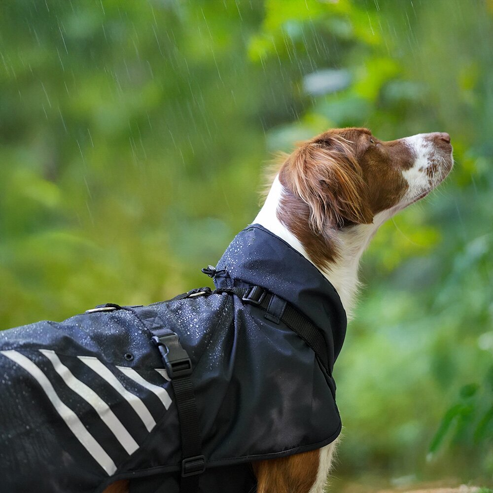 Annyx STORM Dog Raincoat with Integrated Harness – Black