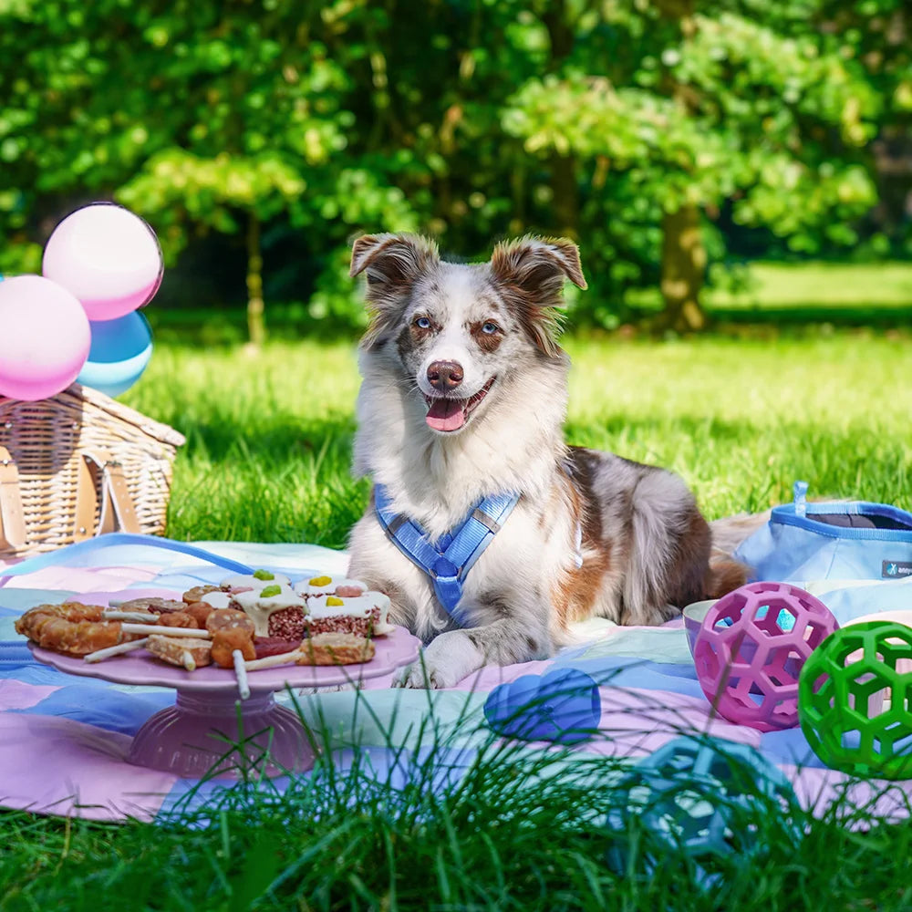 [In stock]Harness Fun Marshmallow
