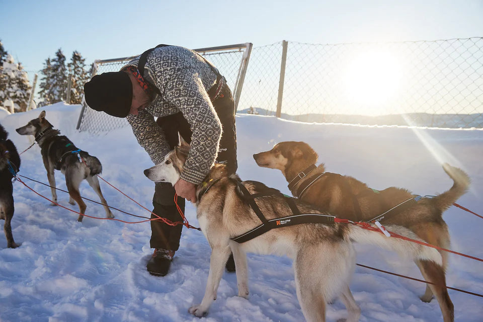 [Presale]Nansen nome harness 5.0