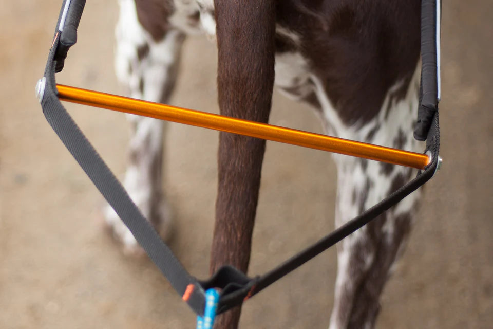 [Presale]Nansen stick harness