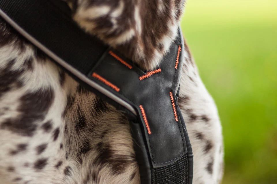 [Presale]Nansen stick harness