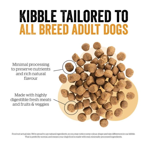 NOW FRESH Turkey, Salmon & Duck Adult Dry Dog Food – 3.5 lb