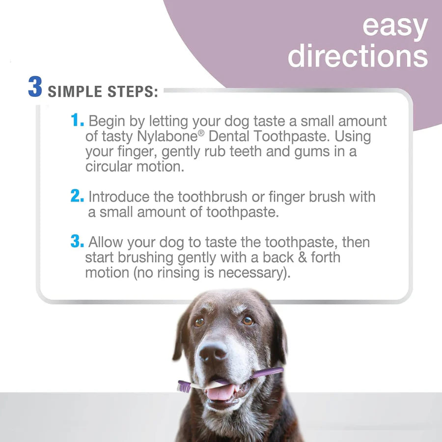 NYLABONE Advanced Oral Care Dental Kit Senior Small Dog