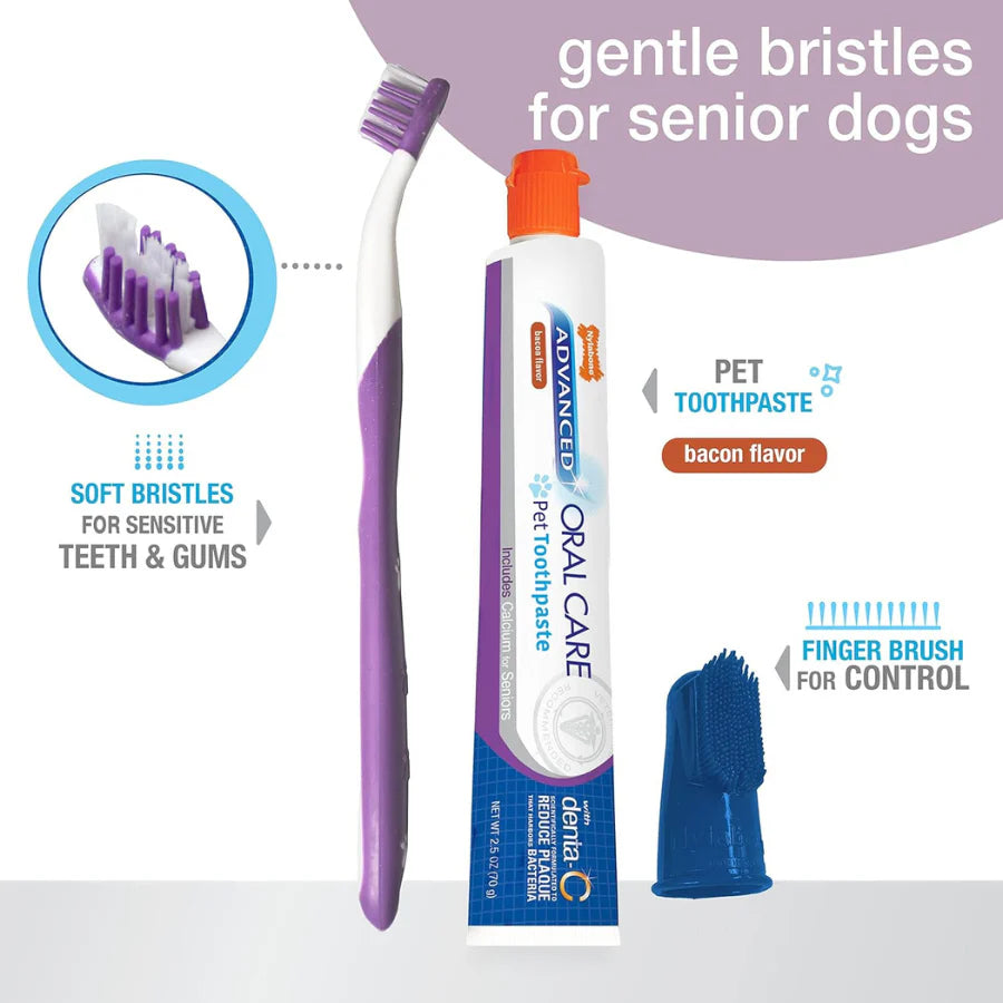 NYLABONE Advanced Oral Care Dental Kit Senior Small Dog
