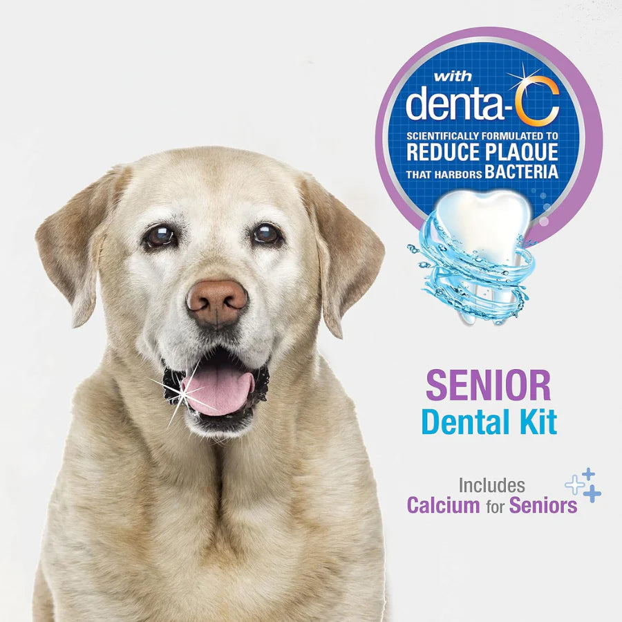 NYLABONE Advanced Oral Care Dental Kit Senior Small Dog