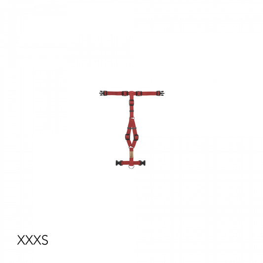 [Presale]Harness Wine