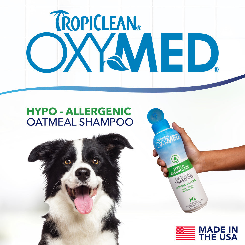 TropiClean OxyMed Hypoallergenic Oatmeal Shampoo for Dogs & Cats – lifestyle image