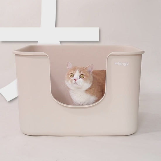 Mango large square open-top cat litter box – official product video
