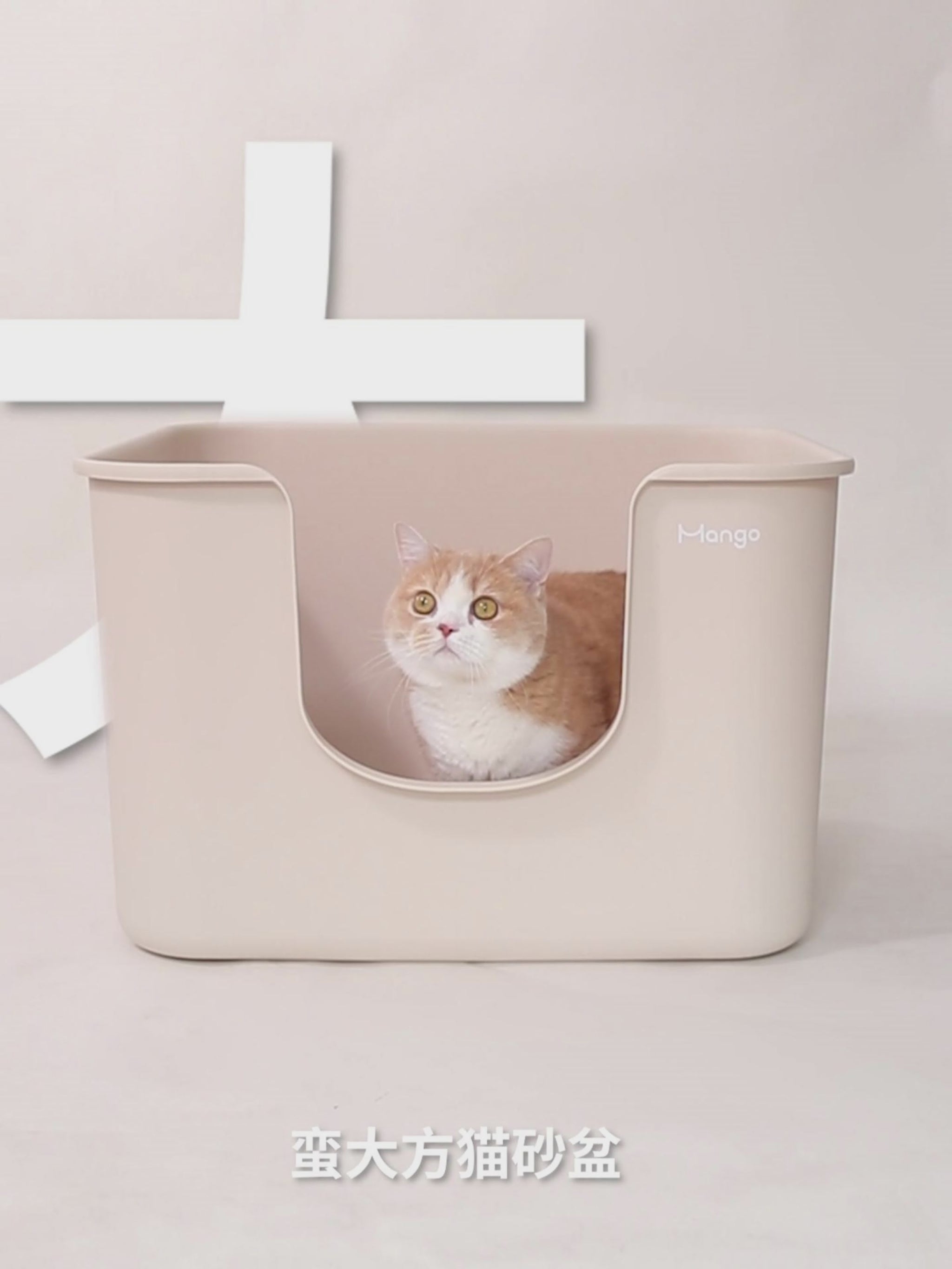 Mango large square open-top cat litter box – official product video
