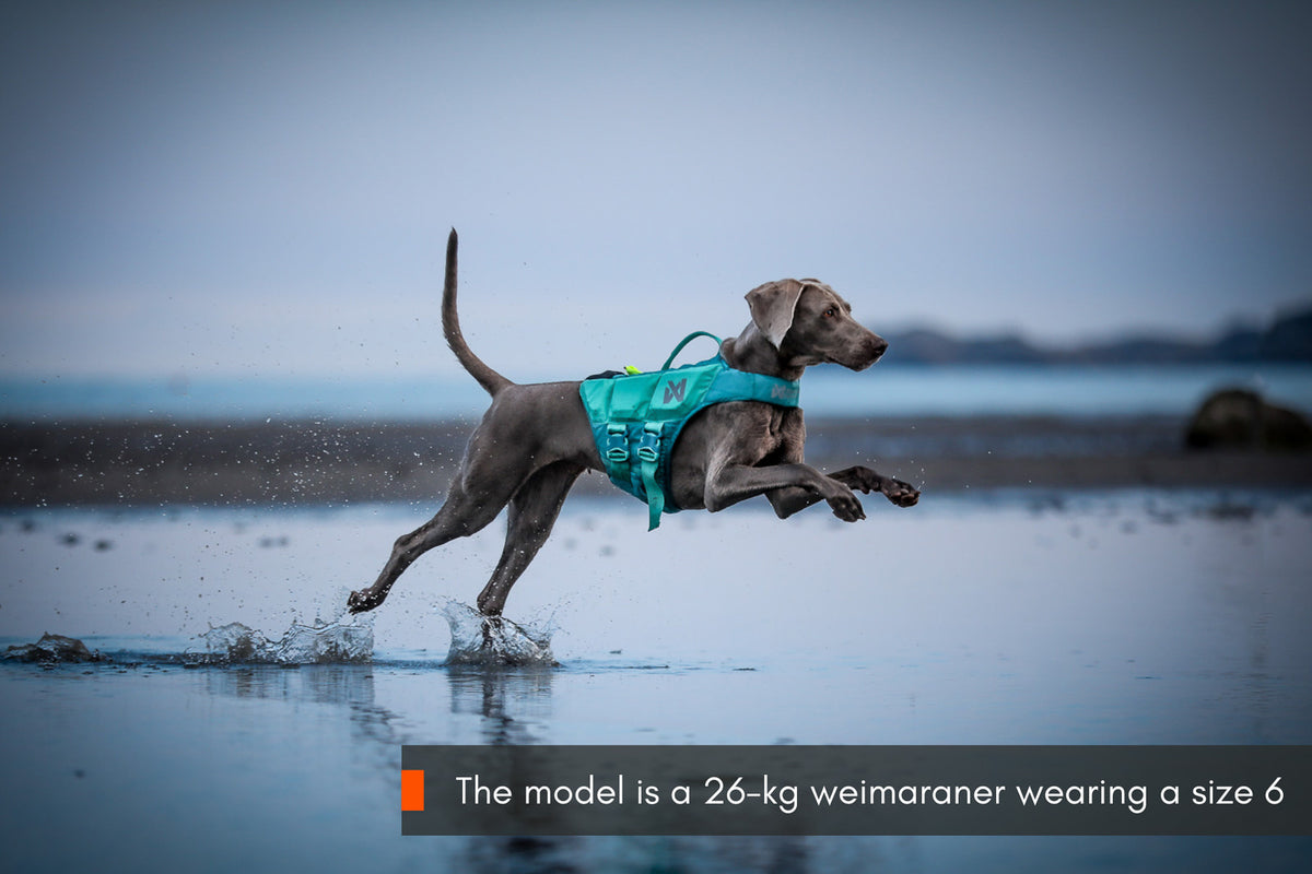 Non-stop dogwear Protector Life Jacket – Teal
