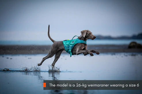 Non-stop Protector life jacket