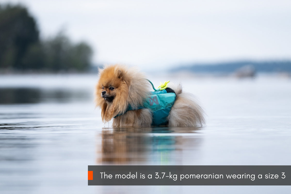 Non-stop dogwear Protector Life Jacket – Teal