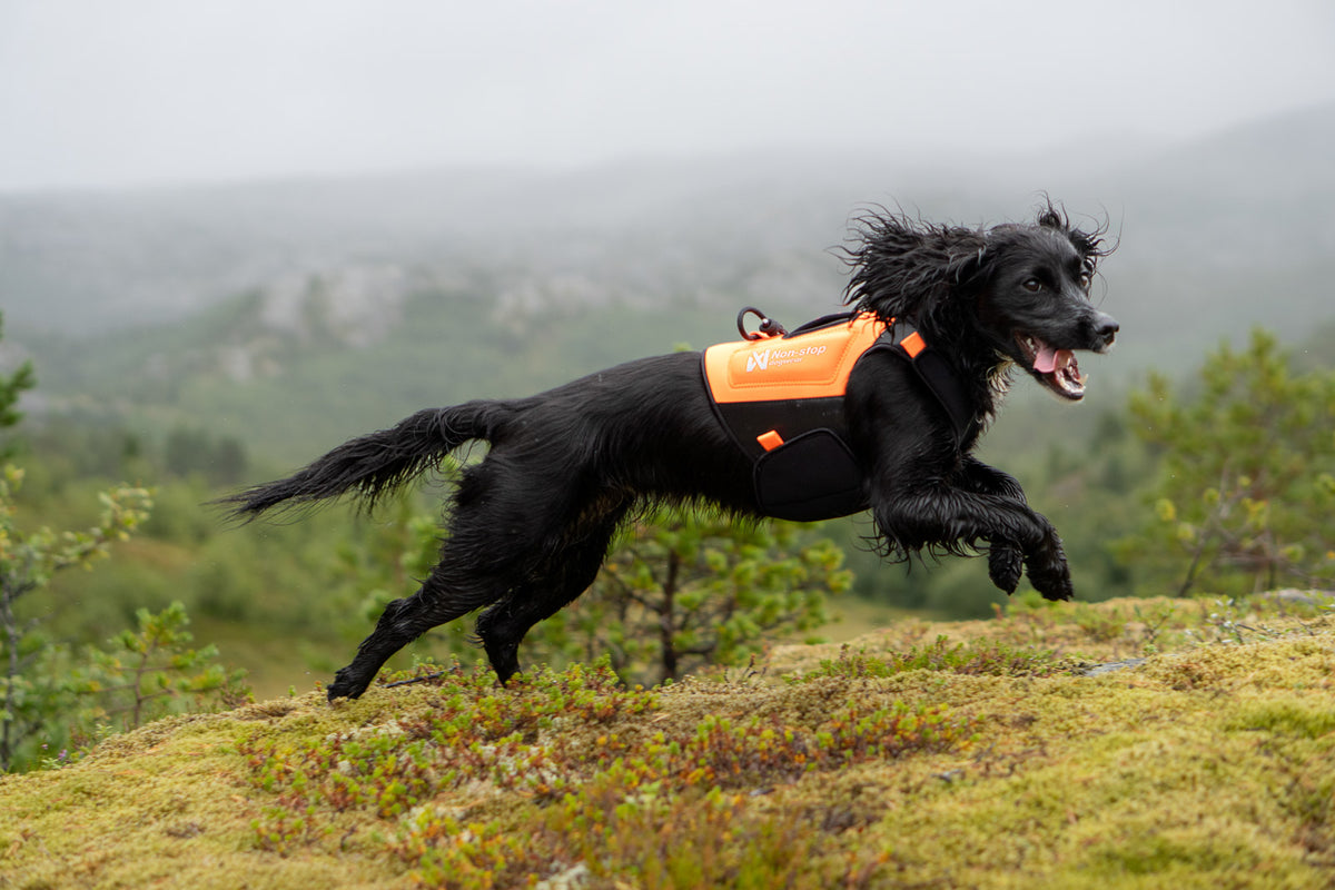 Non-stop dogwear Protector Neoprene Vest
