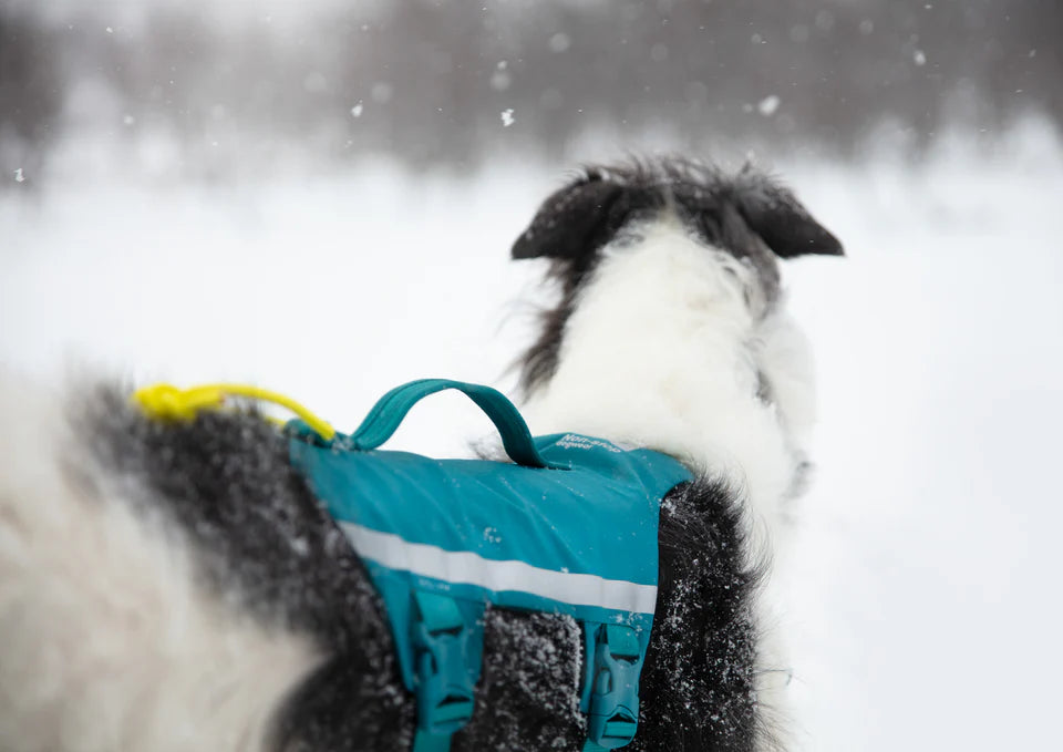 [Presale]Ramble harness long