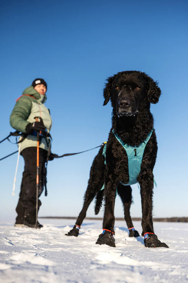 [Presale]Ramble harness long