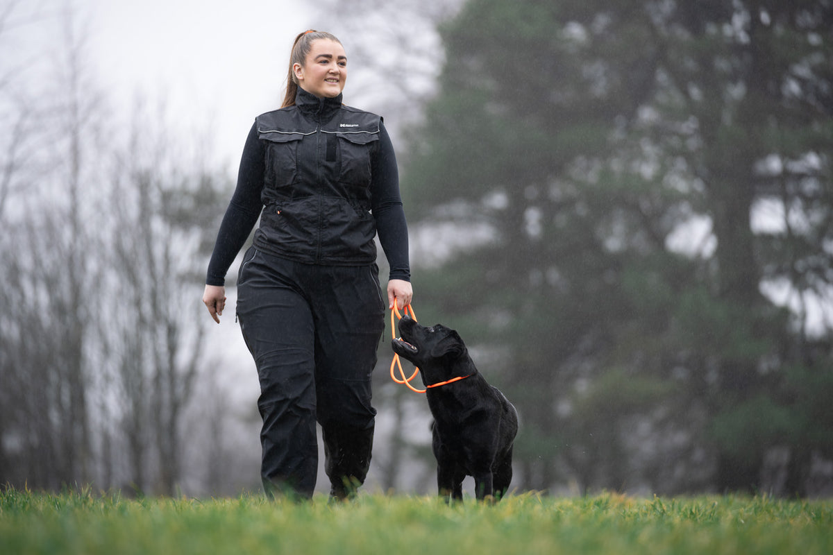 Non-stop dogwear Retriever Leash