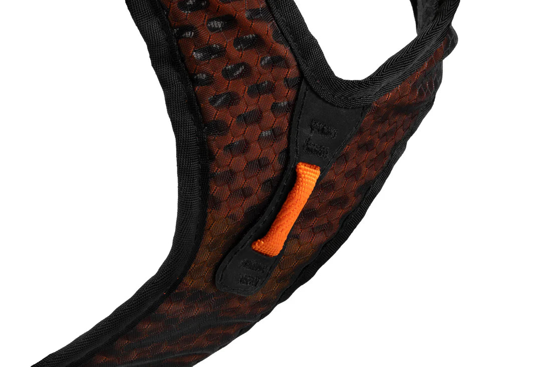 [Presale]Rock harness