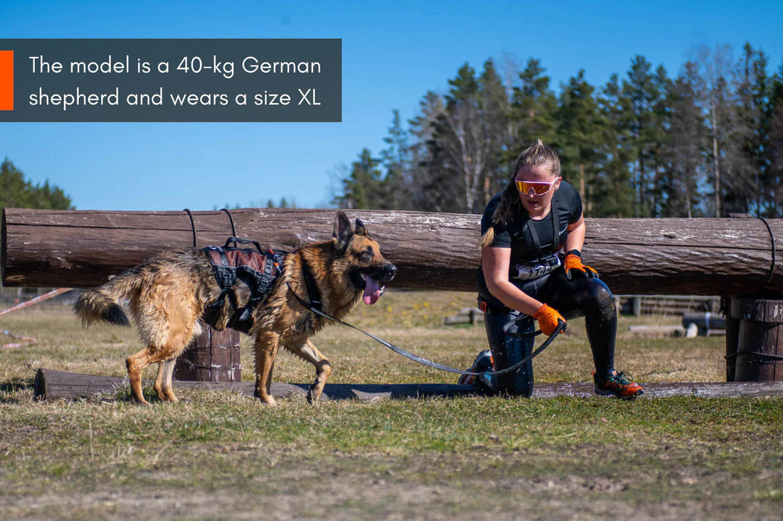 [Presale]Rock harness long