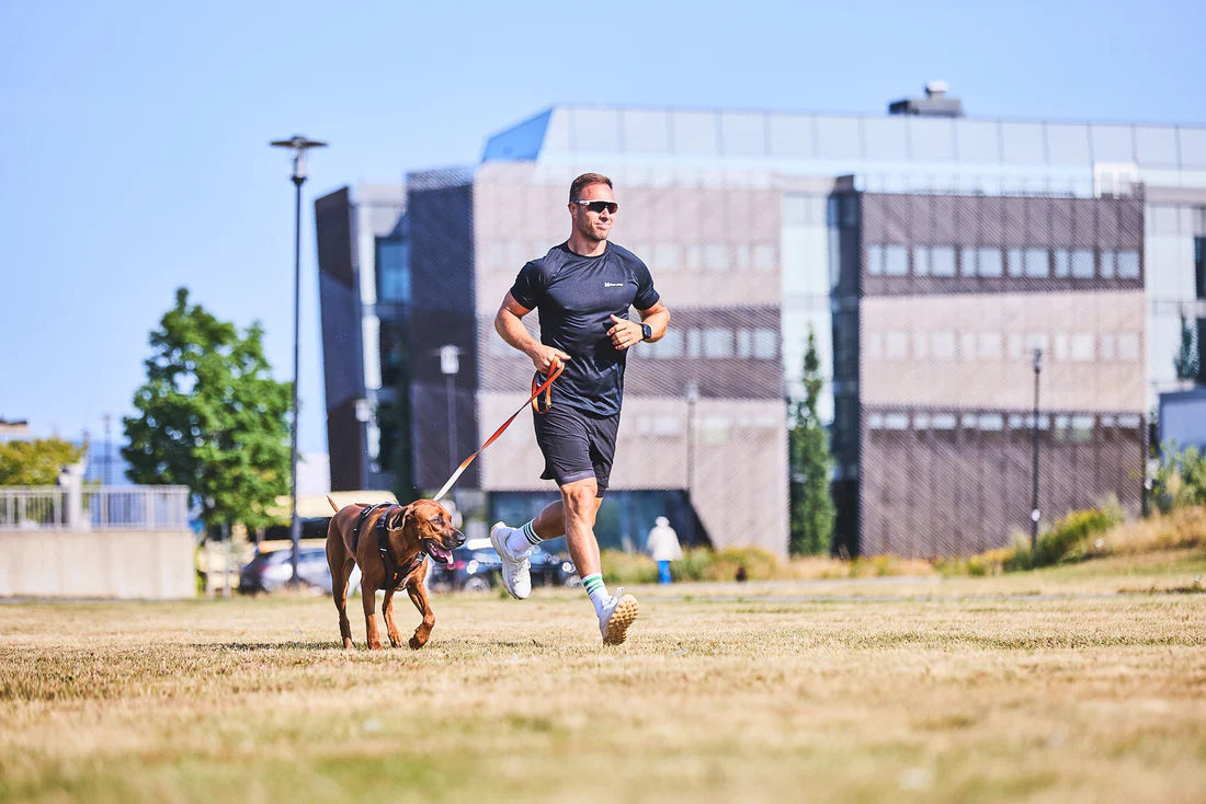 [Presale]Rock harness