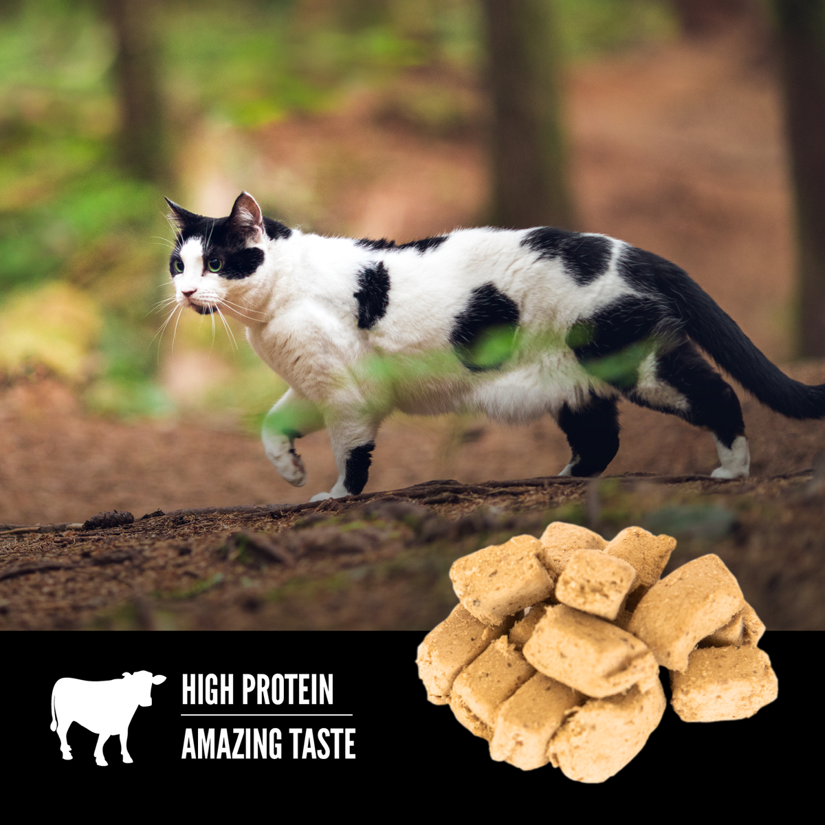 ORIJEN Regional Red freeze-dried cat treats