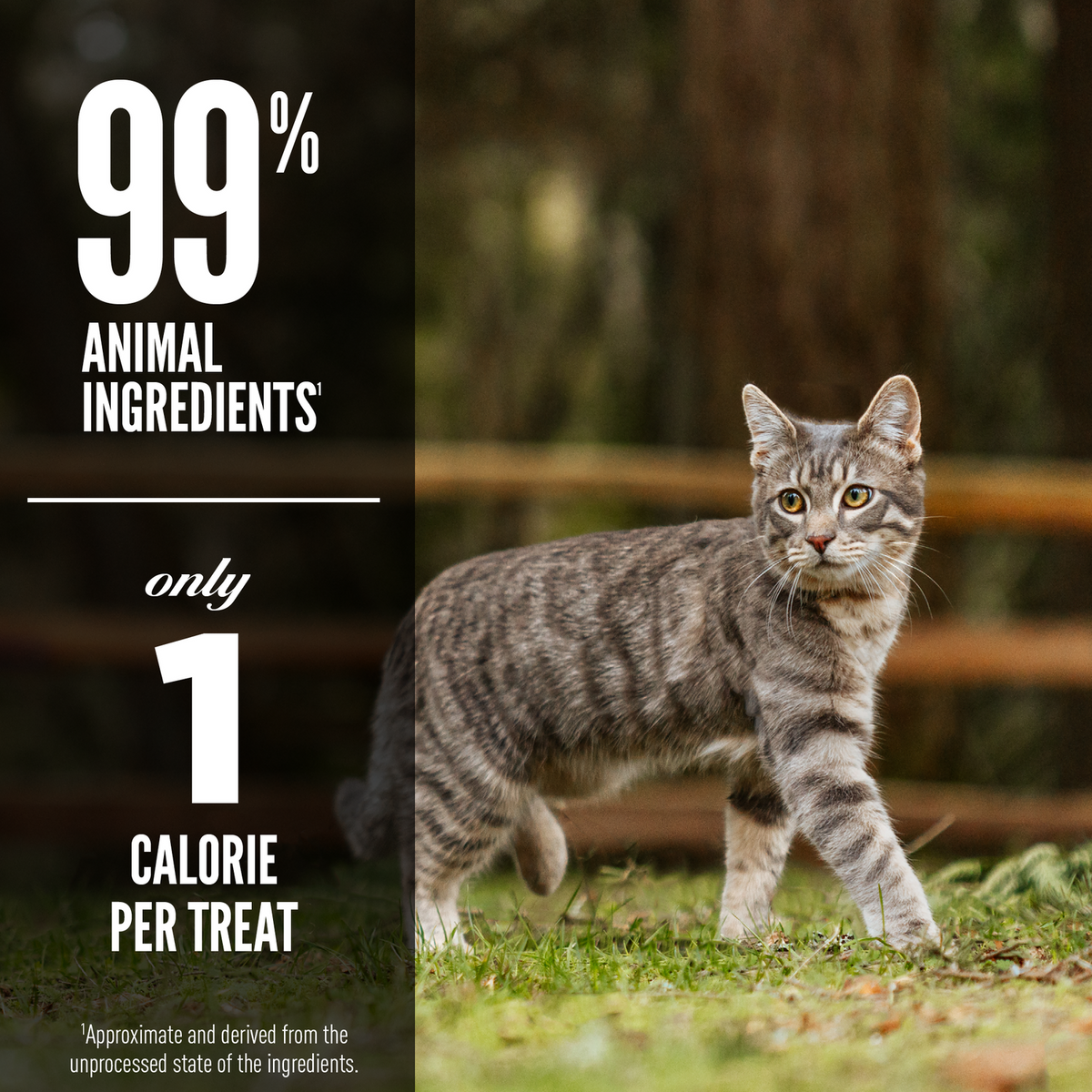 ORIJEN Regional Red freeze-dried cat treats