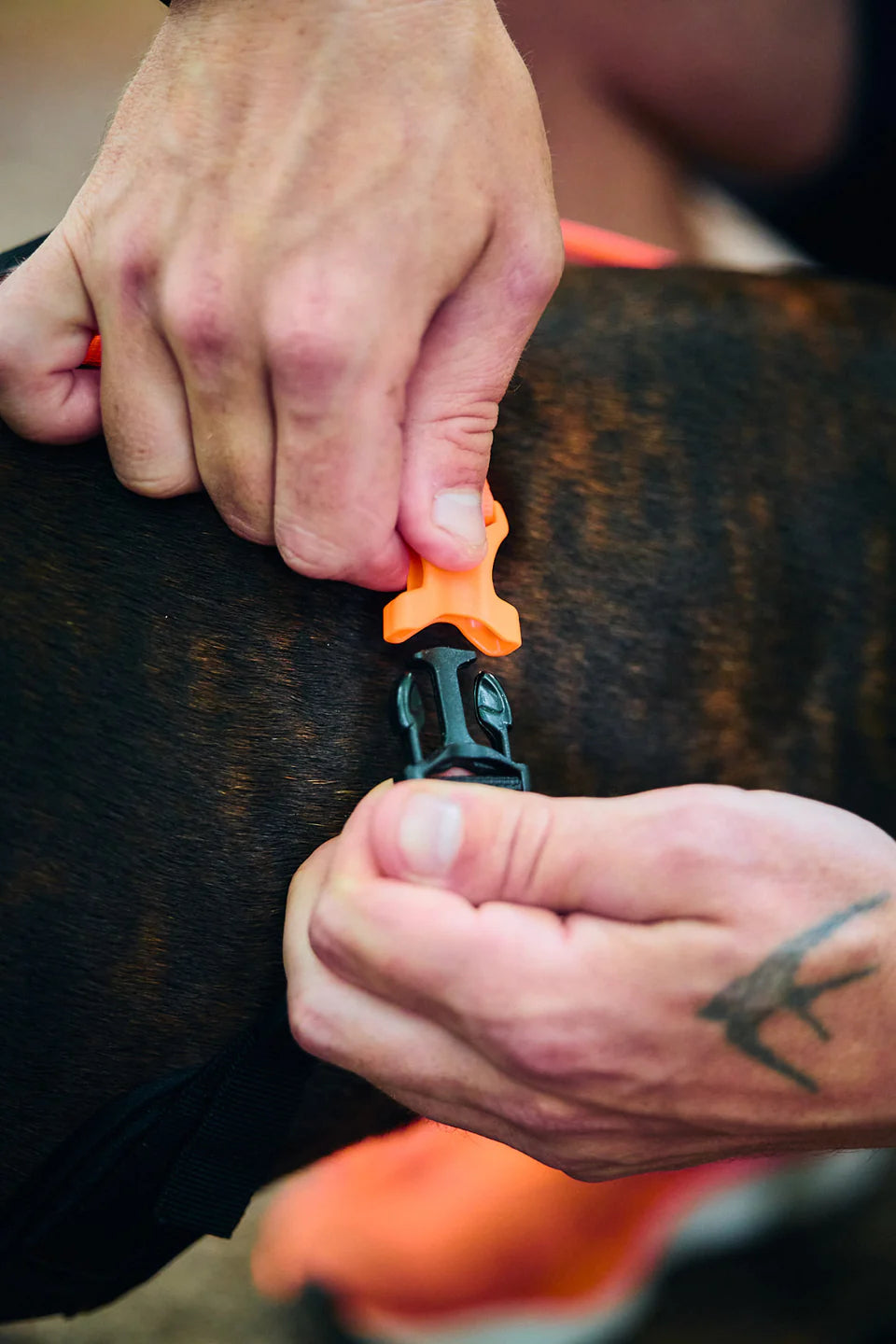 [Presale]Rush harness