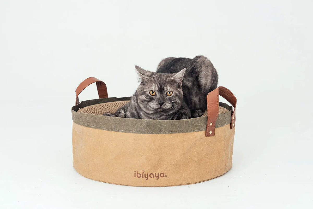 Cat resting in the Ibiyaya Sand Dune FF2215-02 round scratcher
