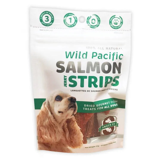 SNACK 21 Salmon Jerky Strips 25GM
