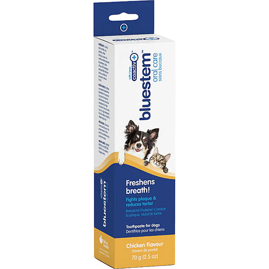 BLUESTEM Toothpaste Chicken 70G | Dog & Cat