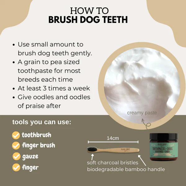 Black sheep toothpaste Dogs 2oz