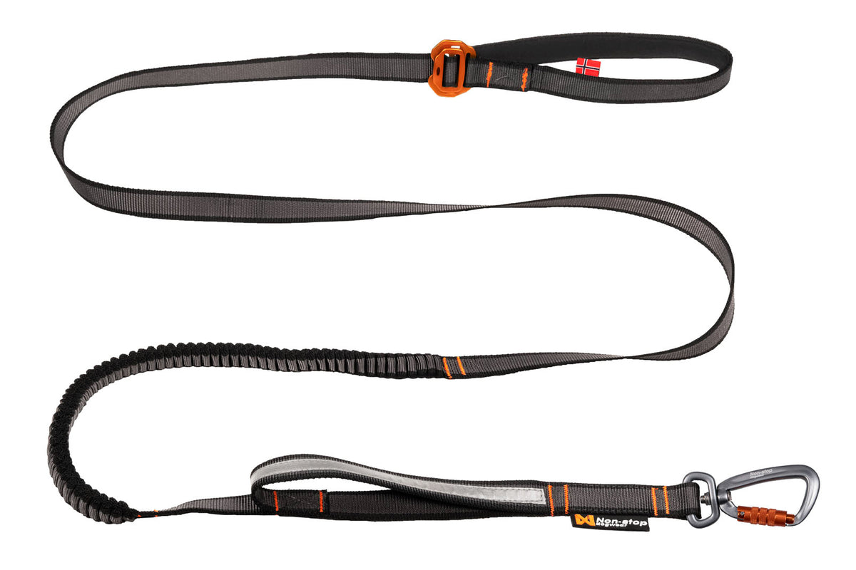 Non-stop dogwear Touring Bungee Adjustable Leash