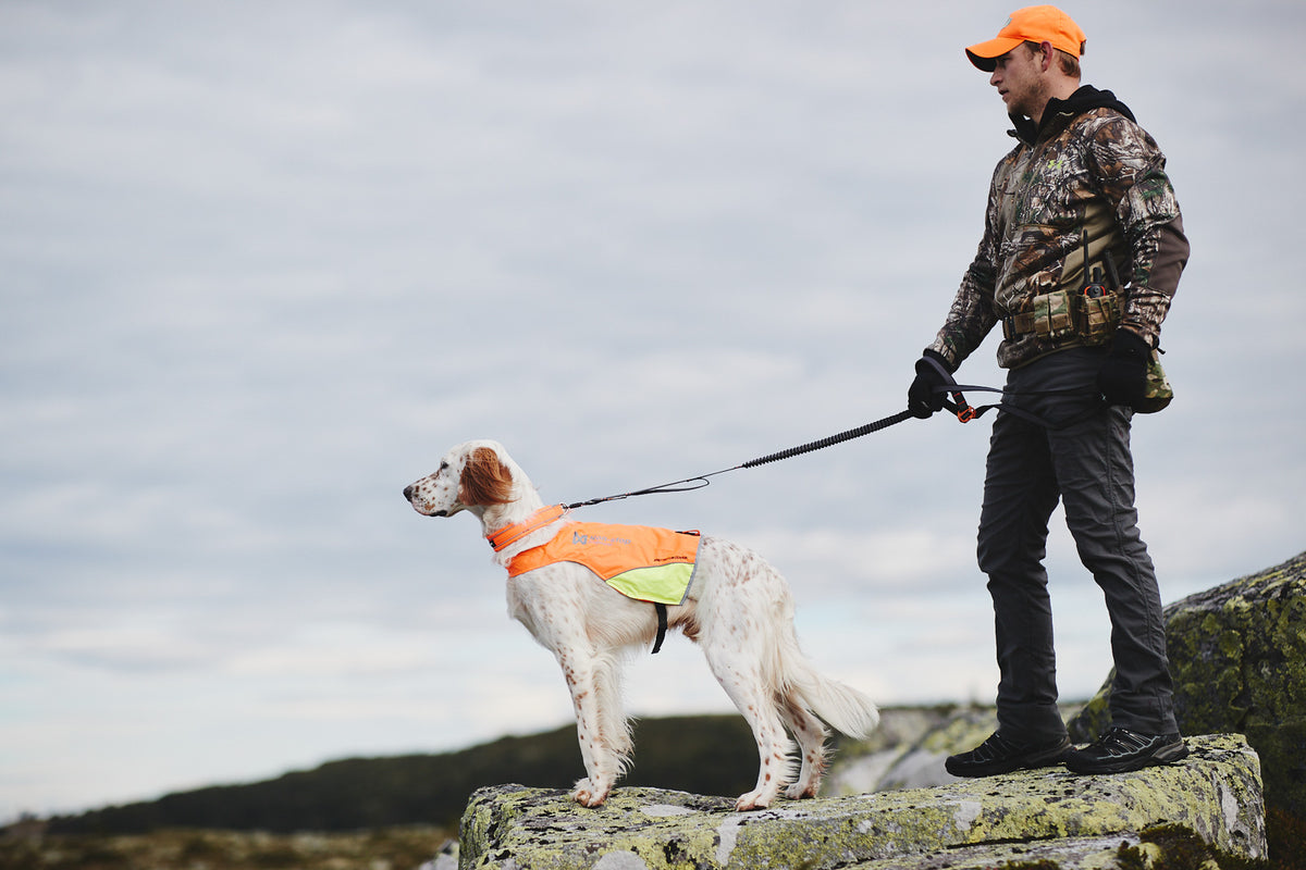 Non-stop dogwear Touring Bungee Adjustable Leash