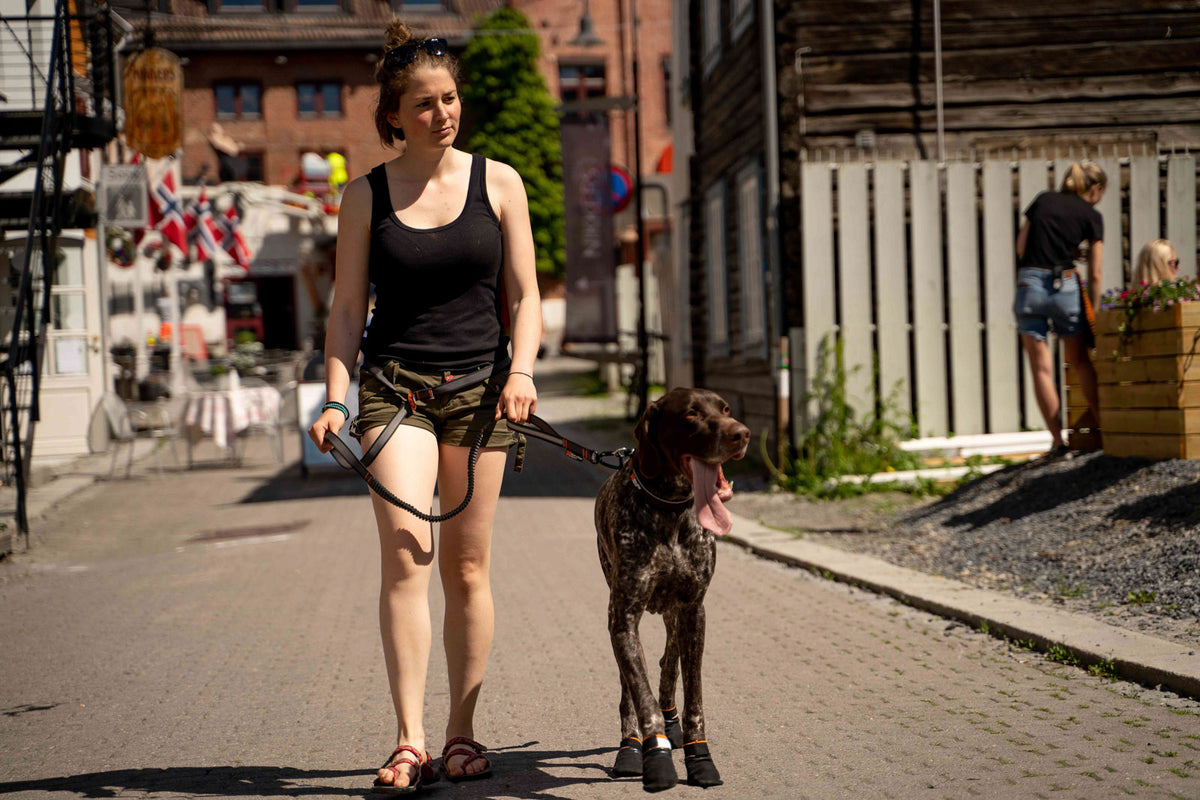 Non-stop dogwear Touring Bungee Adjustable Leash