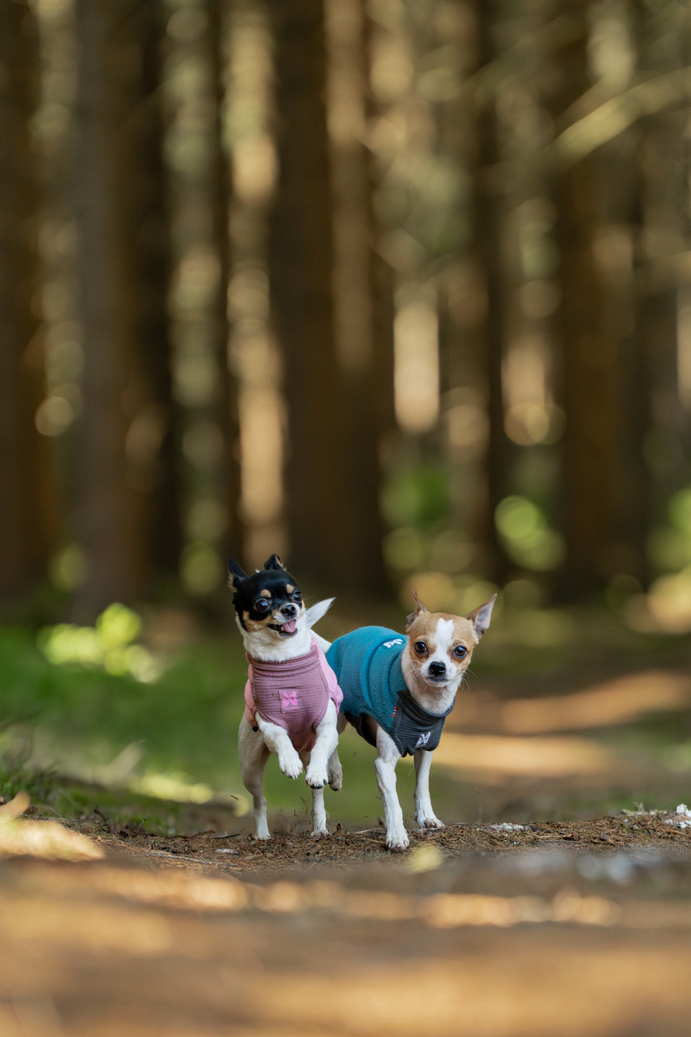 Non-stop dogwear Trail Quest Fleece Pullover – Mauve