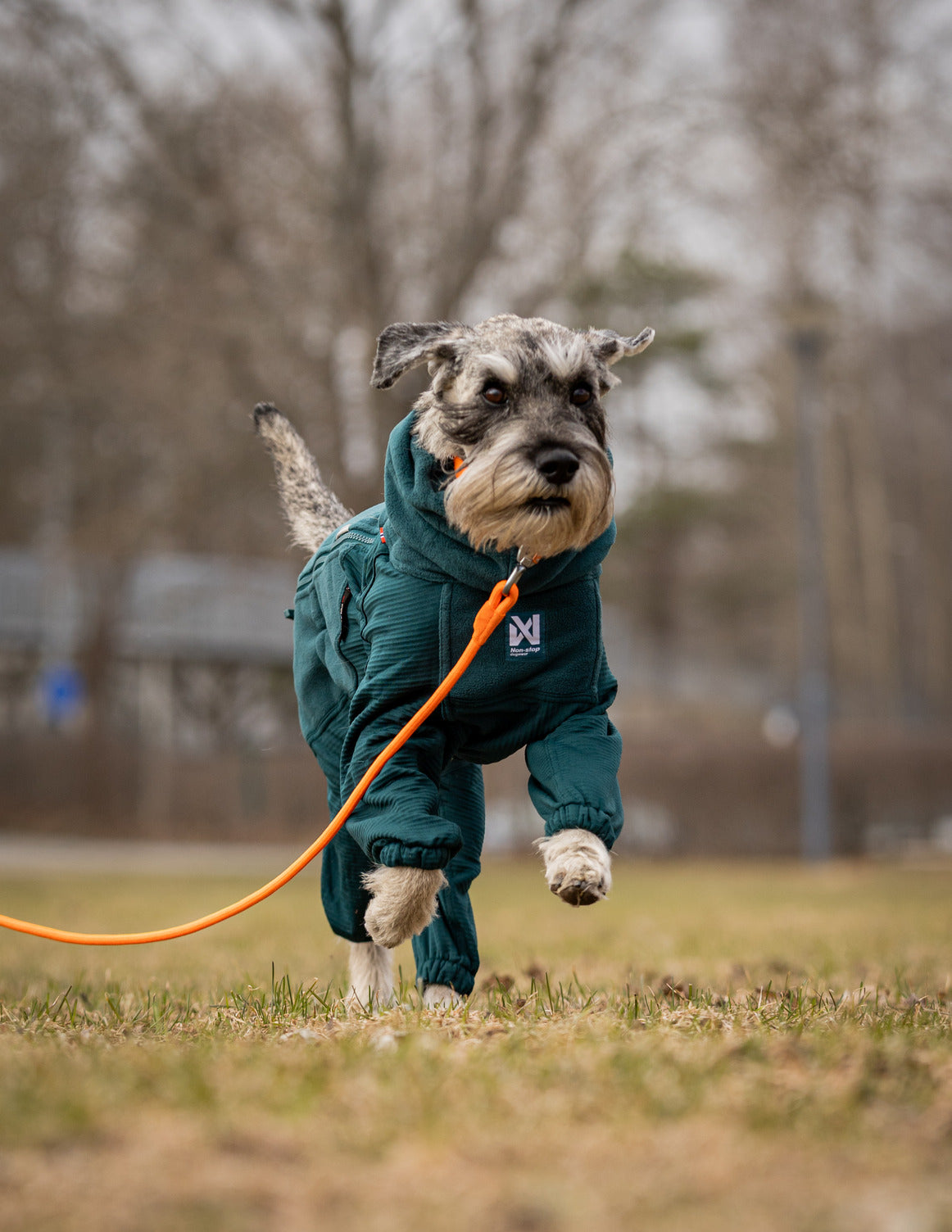 Non-stop dogwear Trail Quest Fleece Overall – Dark Teal