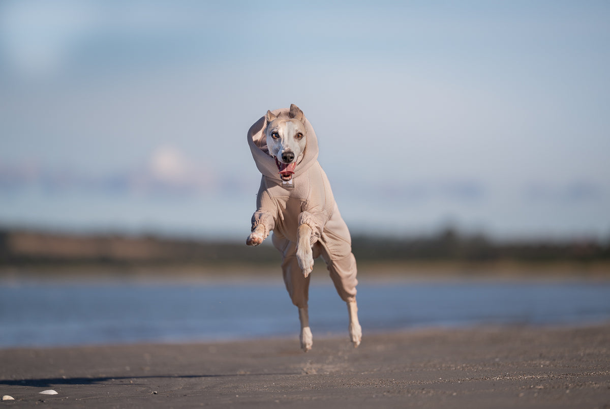 Non-stop dogwear Trail Quest Fleece Overall